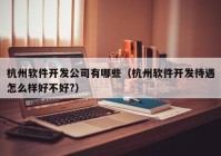 杭州软件开发公司有哪些（杭州软件开发待遇怎么样好不好?）
